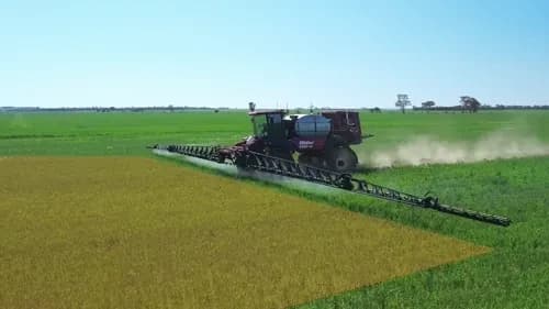 Cotton field with precision spraying