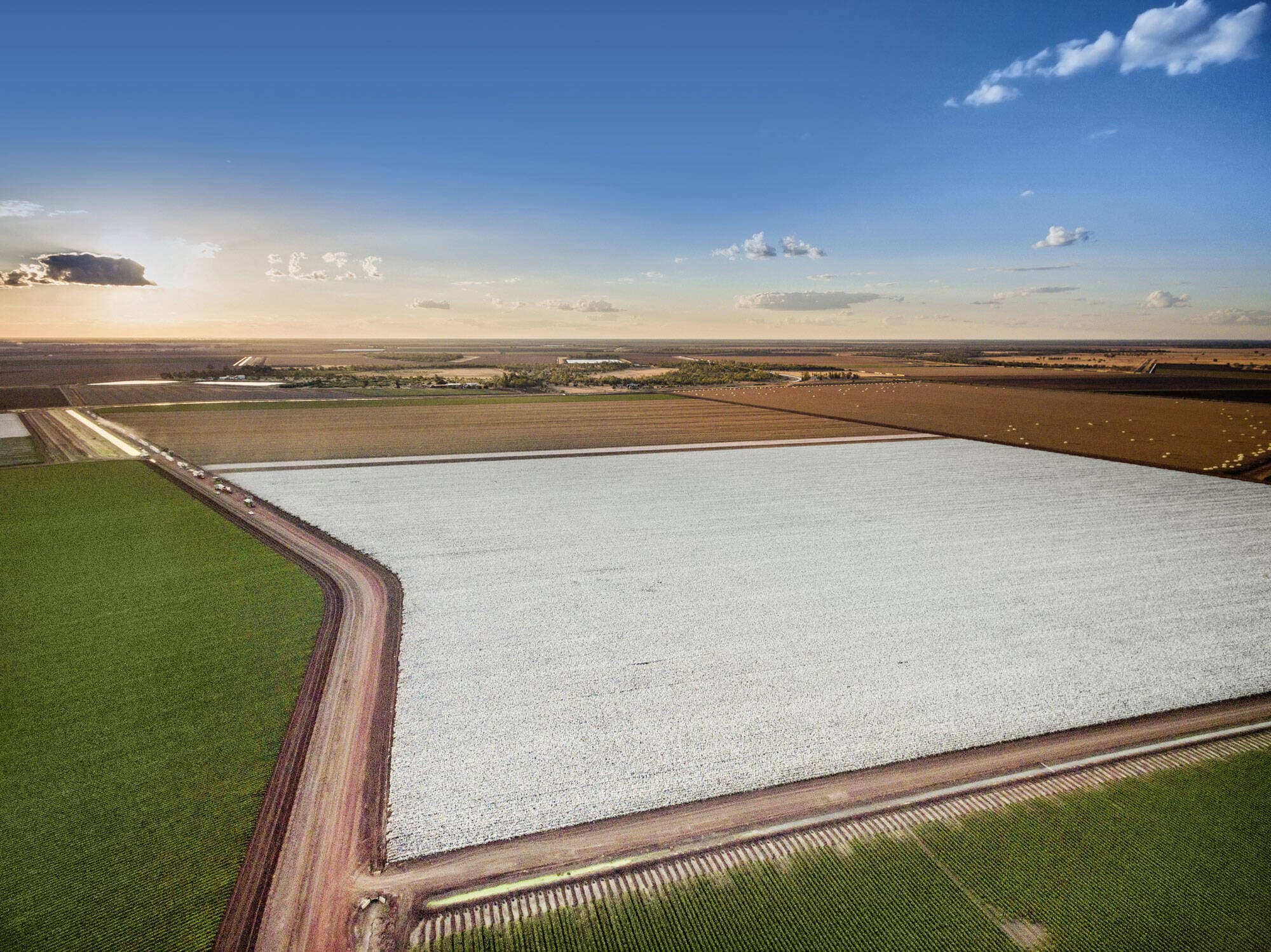 Agricultural field in Goondiwindi, QLD